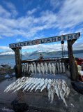 Fish displayed at Miller's Landing by a scenic lake with mountains in the background.