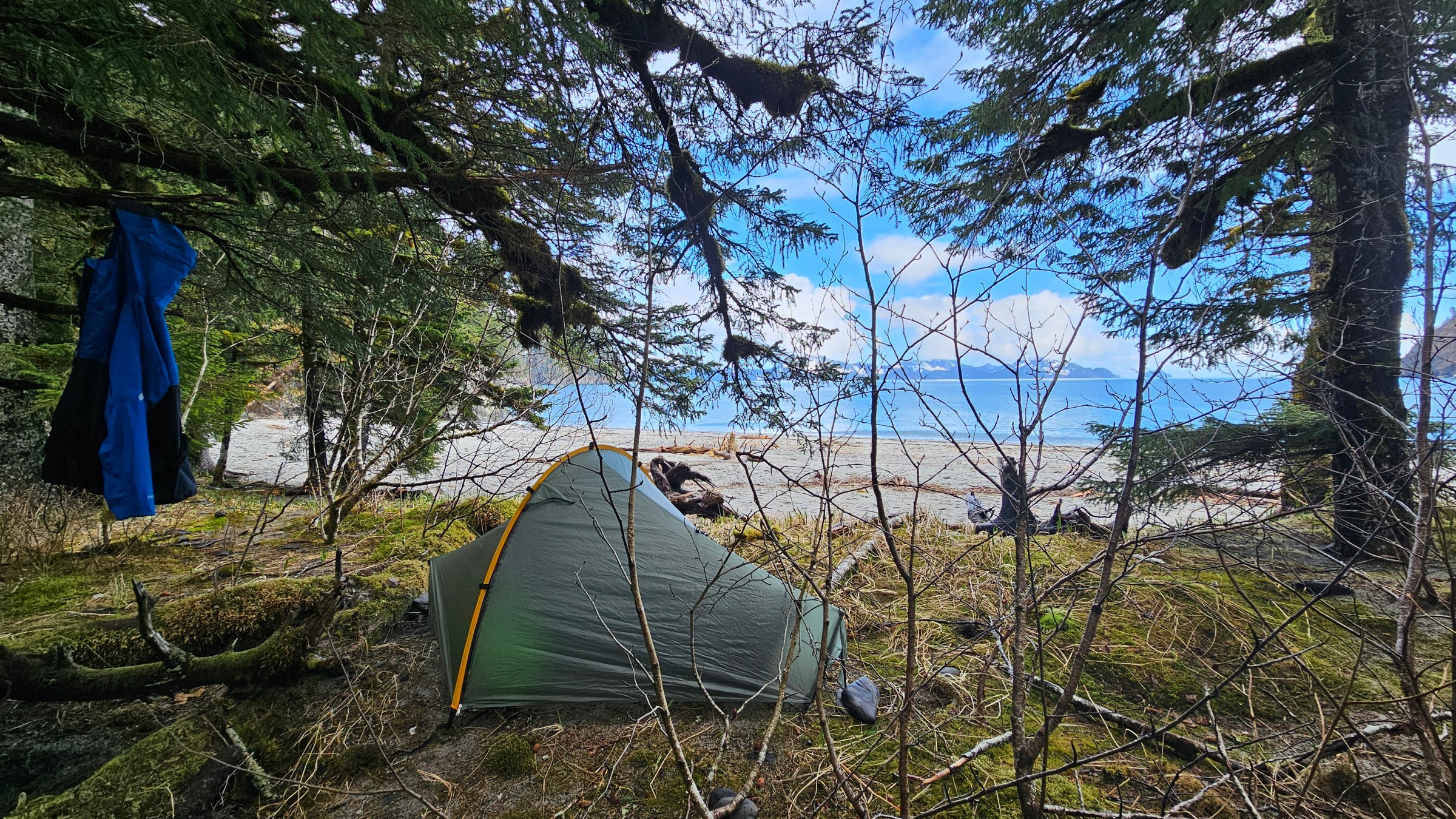 Tent pitched by a beach, surrounded by trees, with a jacket hanging nearby under a blue sky.