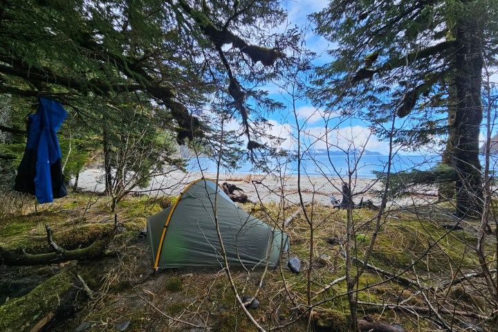 Tent pitched by a beach, surrounded by trees, with a jacket hanging nearby under a blue sky.