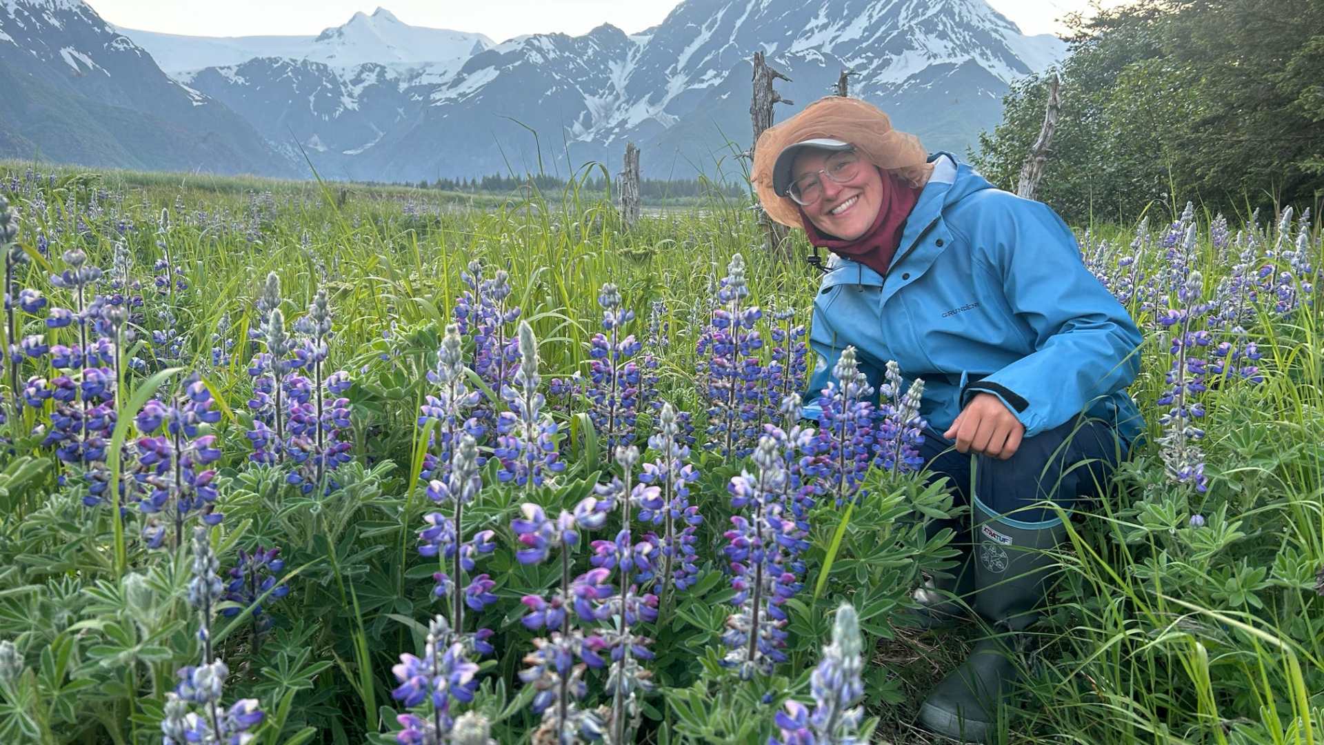 Person in blue jacket and hat kneeling in a field of purple flowers with mountains in the background.
