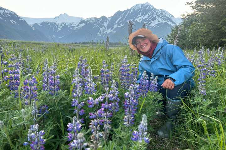 Person in blue jacket and hat kneeling in a field of purple flowers with mountains in the background.