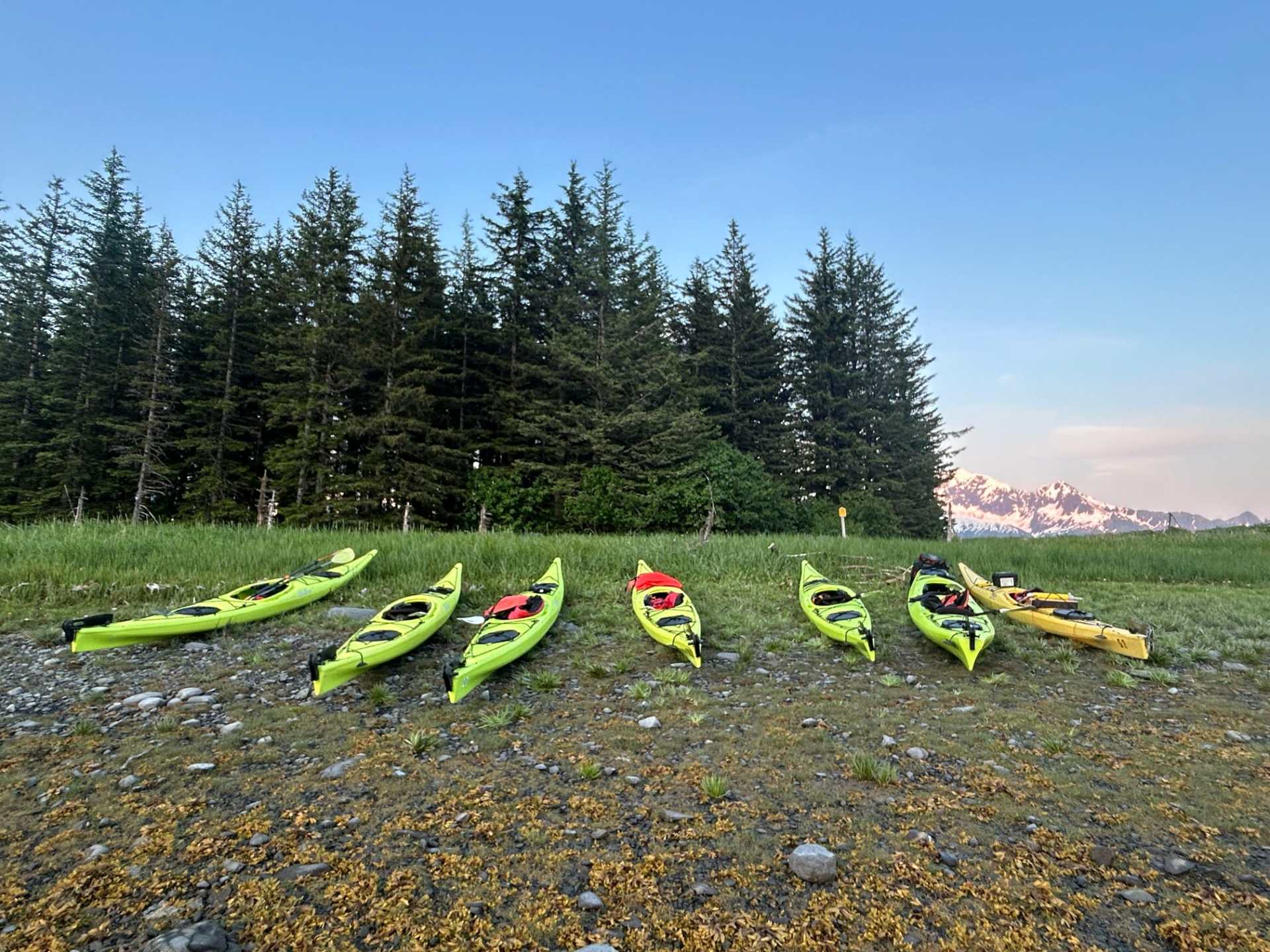 Seven kayaks on a beach with trees and snowy mountains in the background.