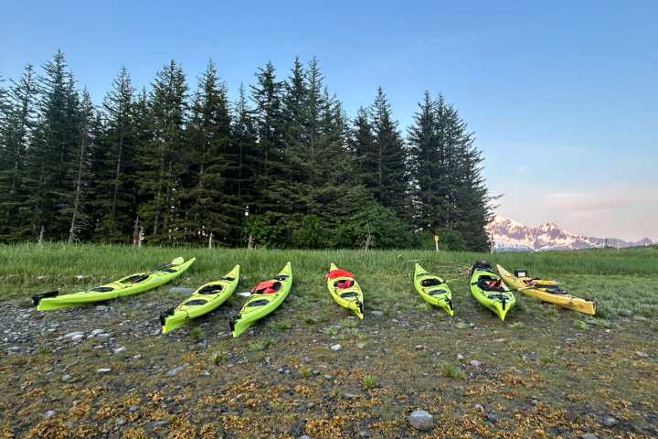 Seven kayaks on a beach with trees and snowy mountains in the background.