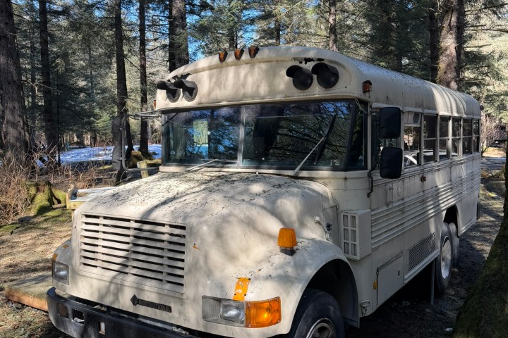 Old white school bus parked in a sunlit forest clearing.
