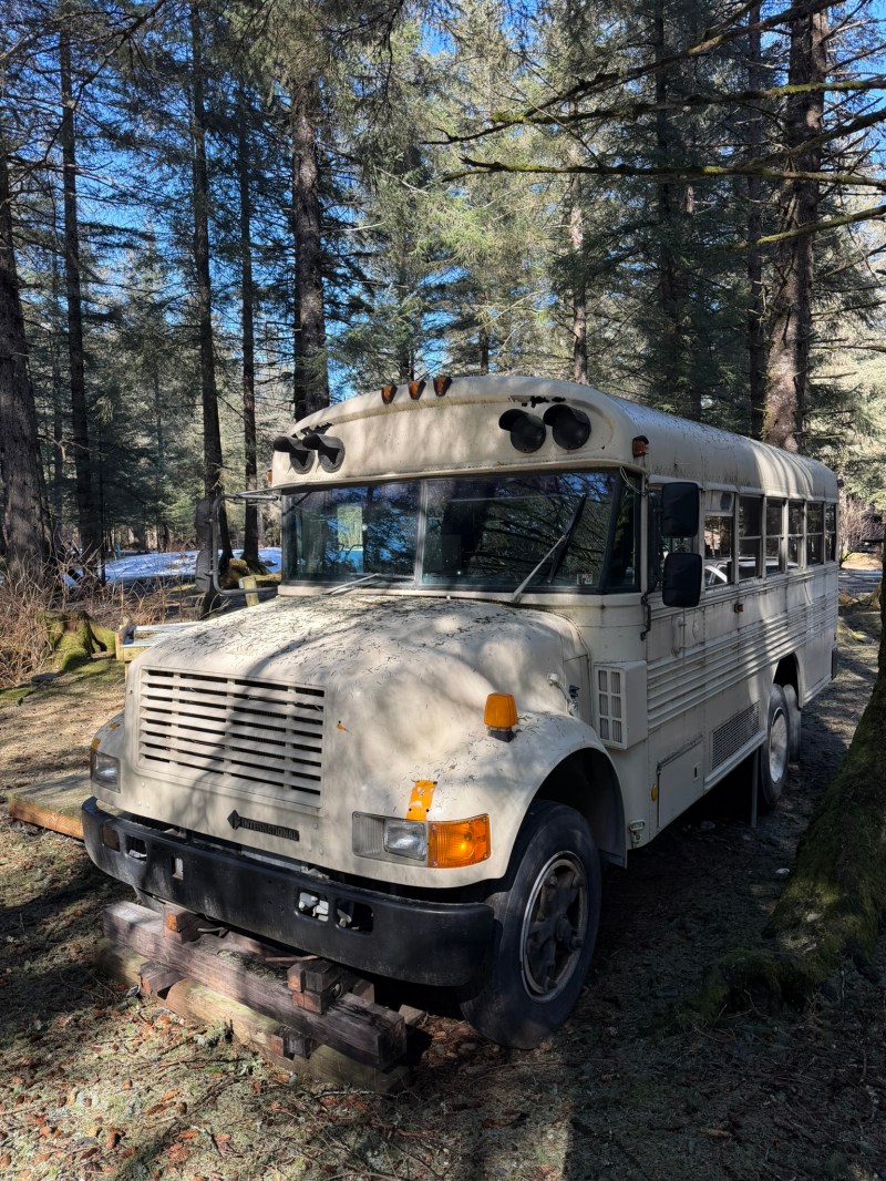 Old white school bus parked in a sunlit forest clearing.