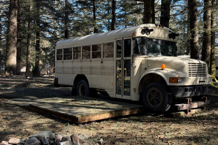 Converted bus parked on wooden platform in forest
