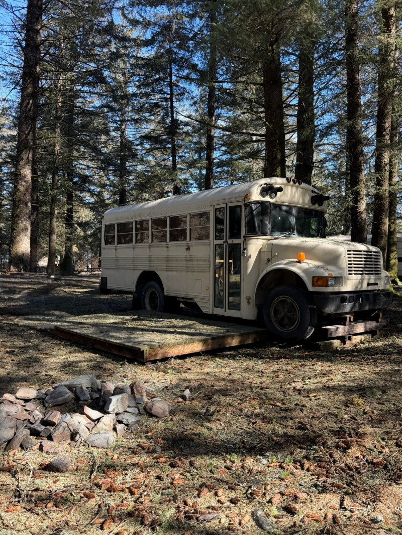 Converted bus parked on wooden platform in forest