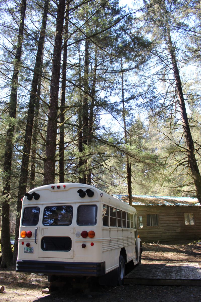 White bus parked in a forest with tall trees.