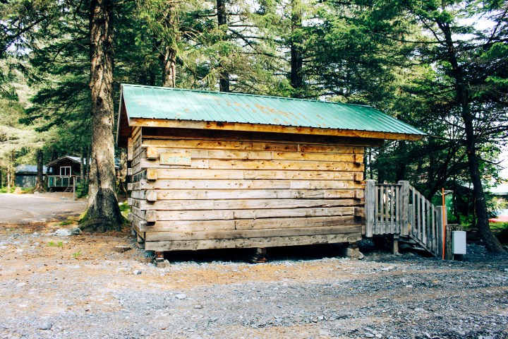 Rustic log cabin with green metal roof surrounded by trees.